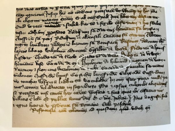 'Hezelonem de Helmond' is the oldest mention of the name Helmond. In a deed from 1108, a Hezelo van Helmond is mentioned as a witness (The Utrecht Archives).