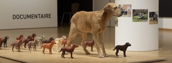 Taxidermy dog surrounded by miniature dog figurines