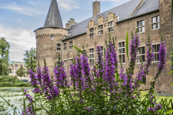 Helmond Castle by Dave van Hout